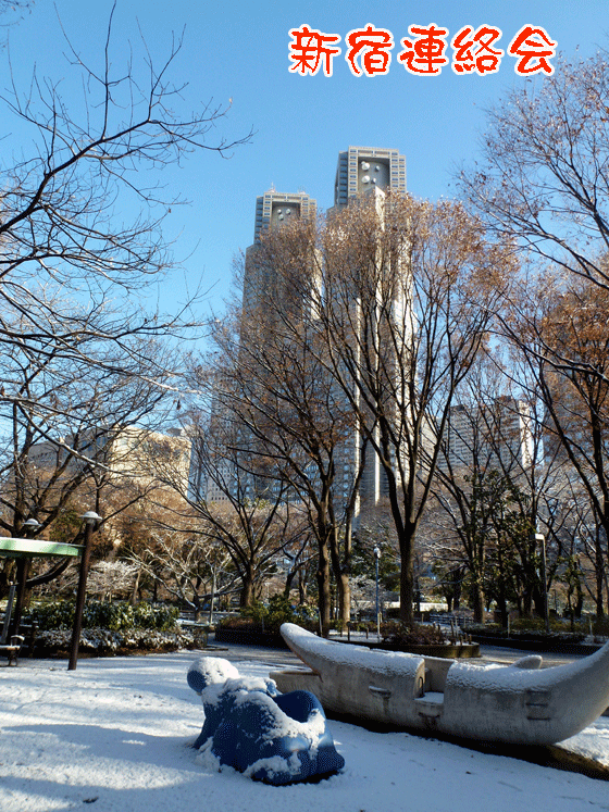 表紙写真